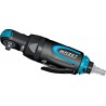 Hazet 9021P-2 Mini-clé a rochets/carré massif 10 mm longueur 150 mm