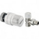 Ensemble thermostatique angle 5x tête thermostatique Uni SH 5x robinet thermostatique UT angle DN 15
