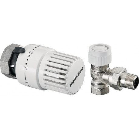 Ensemble thermostatique angle 5x tête thermostatique Uni SH 5x robinet thermostatique UT angle DN 15
