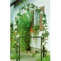 Portail de jardin .vert 100 X 80 cm