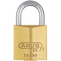 Cadenas en laiton avec clé réversible EC 7540mm