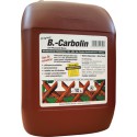 B.-carboline de revetement en bois de 10 litres en plastique Kan.