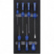 Module 2017 1/3 Tournevis PH
