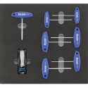 Module 2017 2/3 Poignée en T Torx