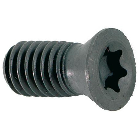Vis Torx pour D. 12mm
