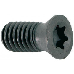 Vis Torx pour D. 25mm