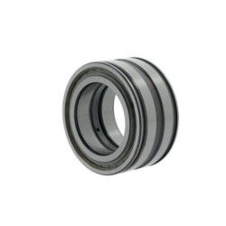 Roulements à rouleaux cylindriques SL045020 -D-PP-C3 ID 100mm AD 150mm Largeur 67mm INA