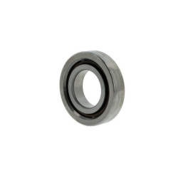 Palier de Roulement à billes à contact oblique 7602017 -TVP ID 17mm AD 40mm B.12mm FAG