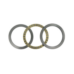 Palier de butée à rouleaux cylindriques 89424 -MB ID 120mm AD 250mm 21,9kg NKE