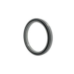 Roulements à rouleaux cylindriques SL183048 -C3 ID 240mm AD 360mm Largeur 92mm INA