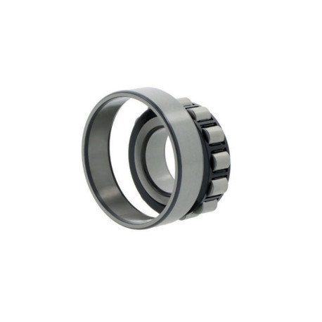 Roulements à rouleaux cylindriques N205 -E-TVP-C3 ID 25mm AD 52mm Largeur 15mm NKE