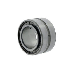 Roulements à rouleaux cylindriques SL185004 -C3 ID 20mm AD 42mm Largeur 30mm INA