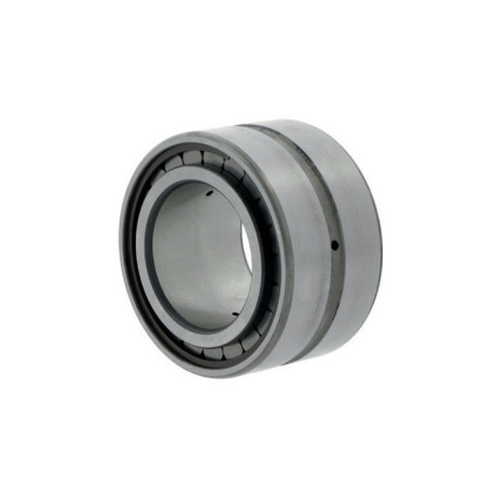 Roulements à rouleaux cylindriques SL185004 -C3 ID 20mm AD 42mm Largeur 30mm INA