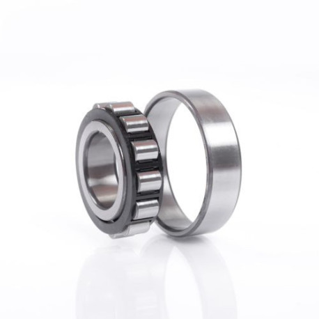 Roulements à rouleaux cylindriques N219 EM1C3 32mm Ext 170mm Int 95mm foret cylindrique .FAG