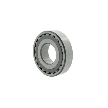 Roulements à rotule sur rouleaux 24038 BEXLC3 100mm Ext. 290mm Int. 190mm FAG