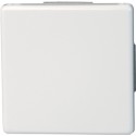 Bouton switch 10AX, 250 V VISION, arktis Kopp