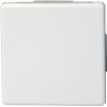 Bouton switch 10AX, 250 V VISION, arktis Kopp