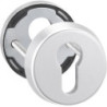 Jeu de rosaces de protection. 6633.rond.12mm.ES0/ PZ.ER mat.TS65-68