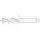 Fraise en bout SL extra-longueWN VHM FIRE Z2 20mm GÜHRING