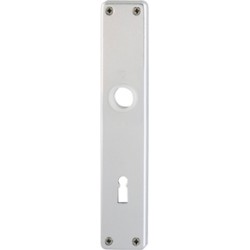Plaque porte 202SP paires F4 PZ-72 9999 18MM (Par 50)