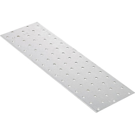 Plaque perforée 300x100x2.0 mm (Par 10)