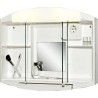 Armoire de toilette Blanc.59x 49 x15,5cm