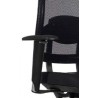 Accoudoirs  T2 noir