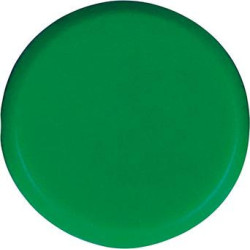 Aimant d'organisation rond vert 20mm Eclipse