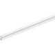 Queue d'aronde 103-3mm silicone blanc. Diamètre 4. L100mtr
