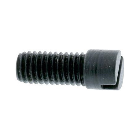 Vis de fixation pour console taille C SRW