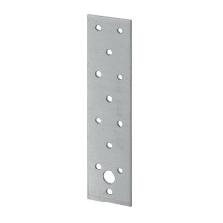 Plaque perforée H160xL40xS2mm sendzimir verz.VORMANN (Par 50)