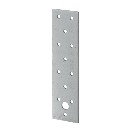 Plaque perforée H160xL40xS2mm sendzimir verz.VORMANN (Par 50)