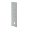 Plaque perforée H160xL40xS2mm sendzimir verz.VORMANN (Par 50)