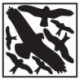 Autocollant L290xL320 mm Kit de protection contre les oiseaux. Feuille autocollante avec symboles d'oiseaux.