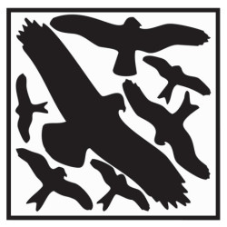 Autocollant L290xL320 mm Kit de protection contre les oiseaux. Feuille autocollante avec symboles d'oiseaux.