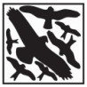 Autocollant L290xL320 mm Kit de protection contre les oiseaux. Feuille autocollante avec symboles d'oiseaux.