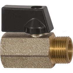 Mini robinet à tournant sphérique VALVE LINE 13mm 1/2 IT/AG DN 15mm RIEGLER (Par 10)