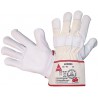 Gants Bremen,Rindnarbenleder, Gr.10 (Par 12)