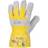 Gants Mammut, /cuir ,Gr.8 (Par 12)