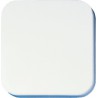 Opus 560.401.02 bascule pour interrupteur et bouton poussoir – Neutre, sans Symbole, blanc pur