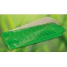 Prima Flora 500142 Serre mini Vert 59x22x14 cm, vert