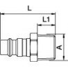 Mamelon rapide 25KA R 1/2 AG Rectus
