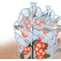 Protège tomate 0,65x10m 20microns ,transparent