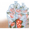 Protège tomate 0,65x10m 20microns ,transparent