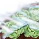 Bache jardin 1,5x10m 17 g/m2, blanc