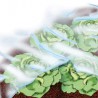 Bache jardin 1,5x10m 17 g/m2, blanc