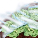 Bache jardin 1,5x50m 17 g/m2, blanc,