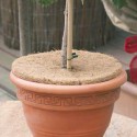 Disque nature 37cm