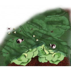 Filet a insectes