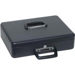 Boite caisse argent ,noir .,E uroein.,370x290x110